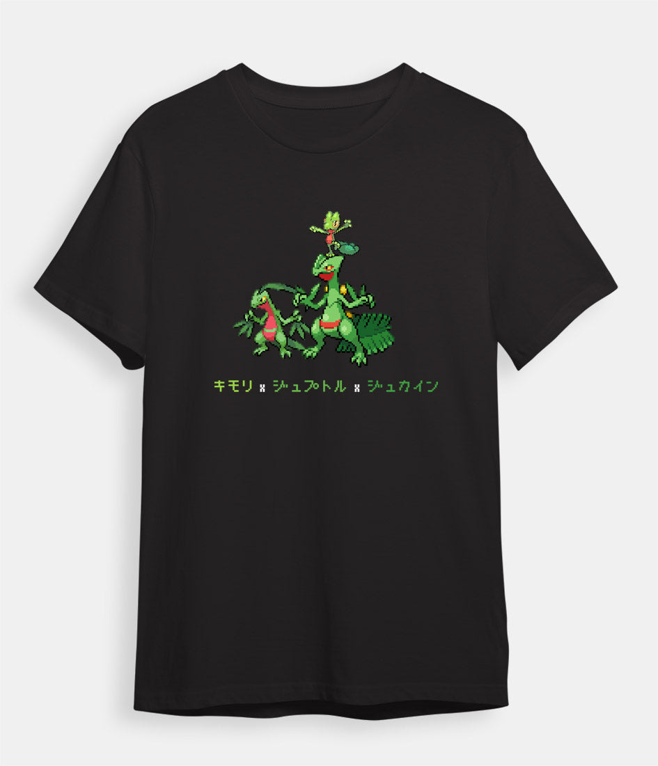 Pokemon T-shirt Treecko Evolution | Retro-Worlds – Retro Worlds