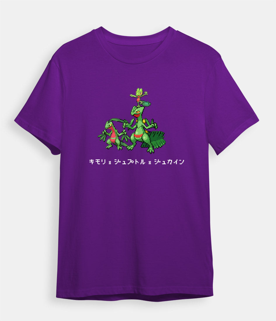 pokemon-t-shirt-treecko-