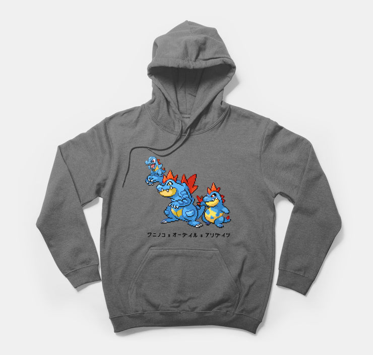 pokemon hoodie totodile feraligatr croconaw dark gray