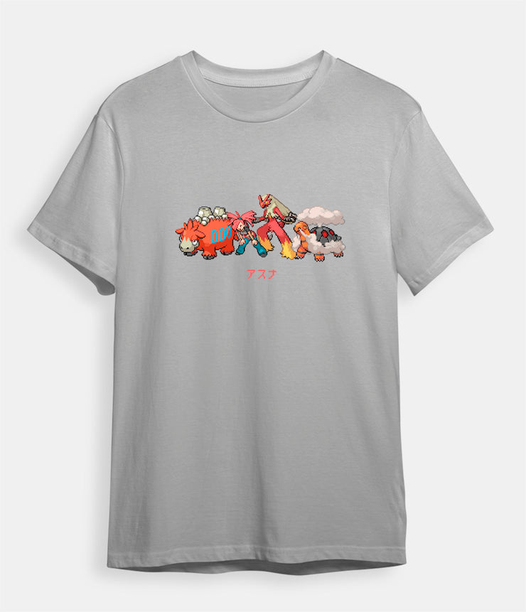 Pokemon T-shirt Flannery Blaziken Camerupt Torkoal Grey