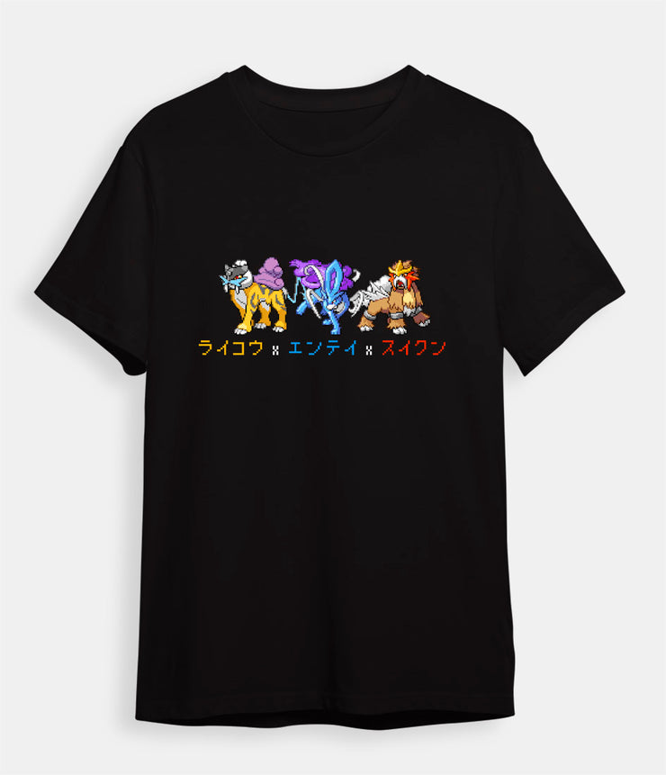 Pokemon t-shirt Legendary dogs black