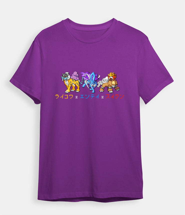 Pokemon t-shirt Legendary dogs purple